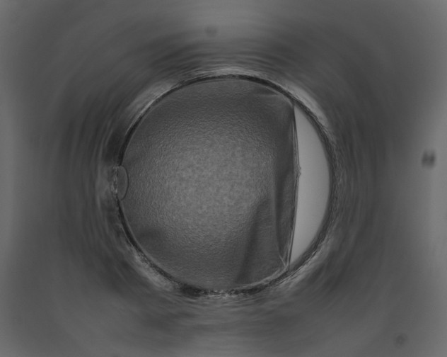 X0000092230793200710051218