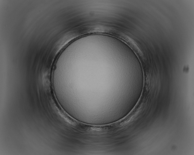 X0000092230794200710051218