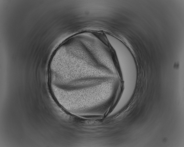 X0000092230795200710051218