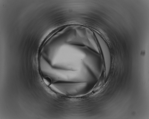 X0000092230796200710051218