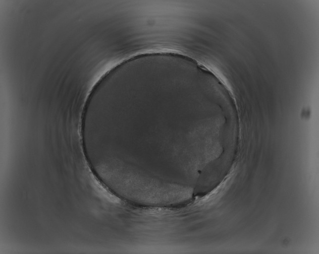 X0000092230797200710051218