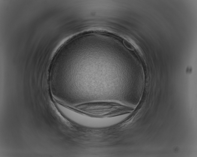 X0000092230799200710051218