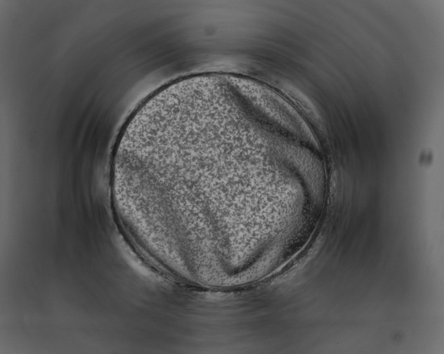 X0000092230800200710051218