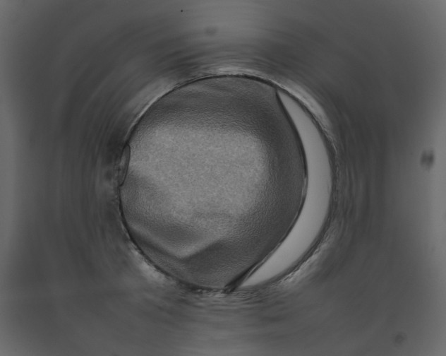 X0000092230801200710051218