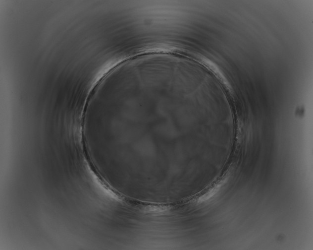 X0000092230802200710051218