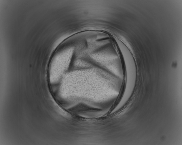 X0000092230803200710051217