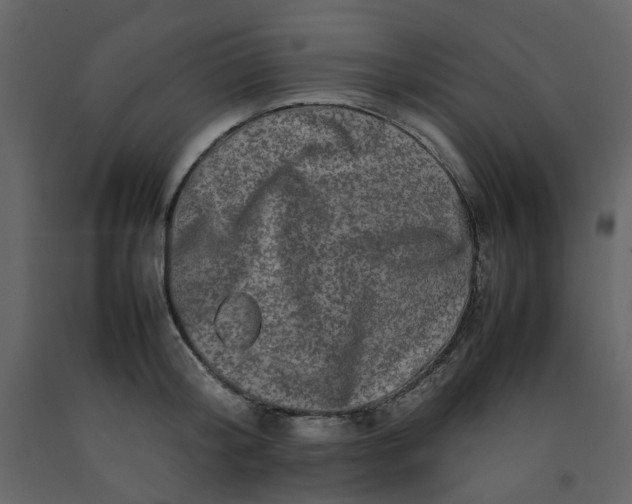 X0000092230804200710051217