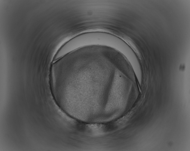 X0000092230805200710051217