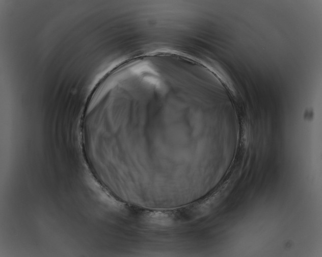 X0000092230806200710051217