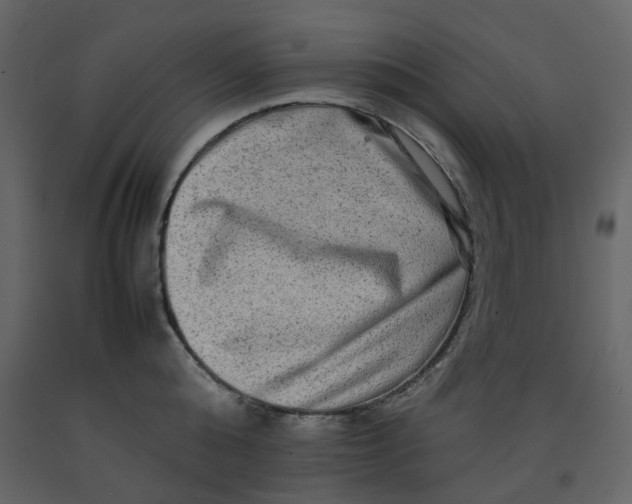 X0000092230808200710051217