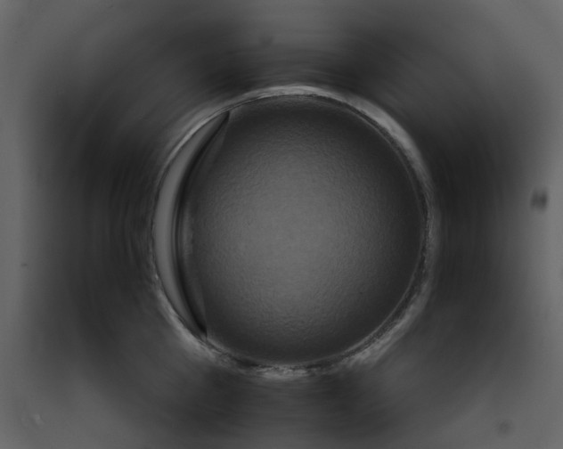 X0000092230809200710051217