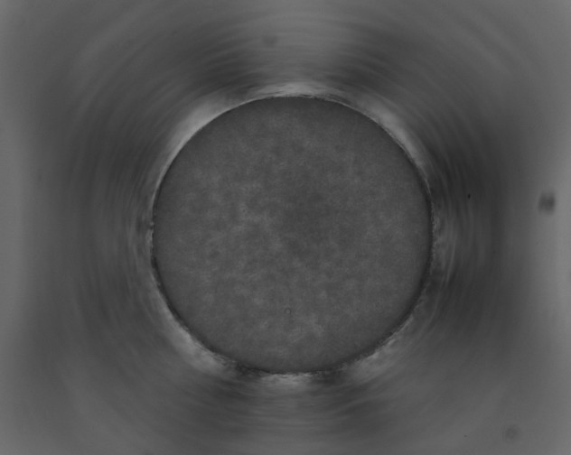 X0000092230810200710051217