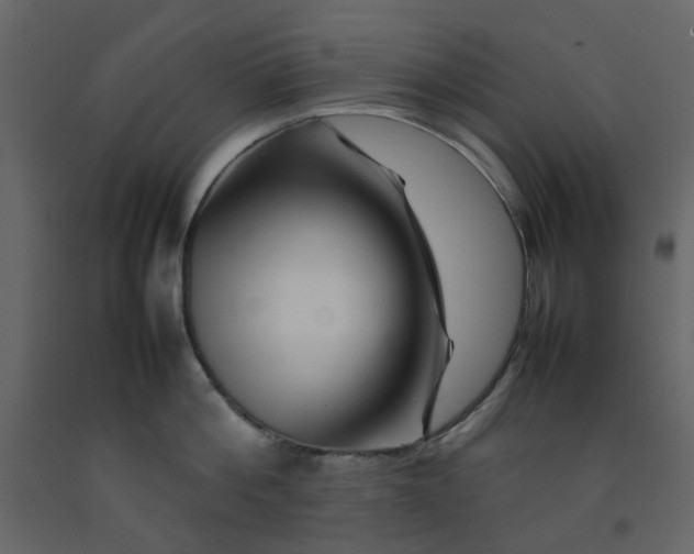 X0000092230812200710051217