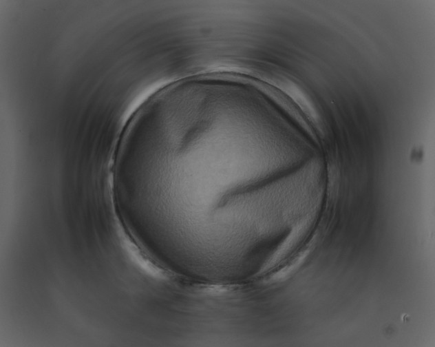 X0000092230814200710051217