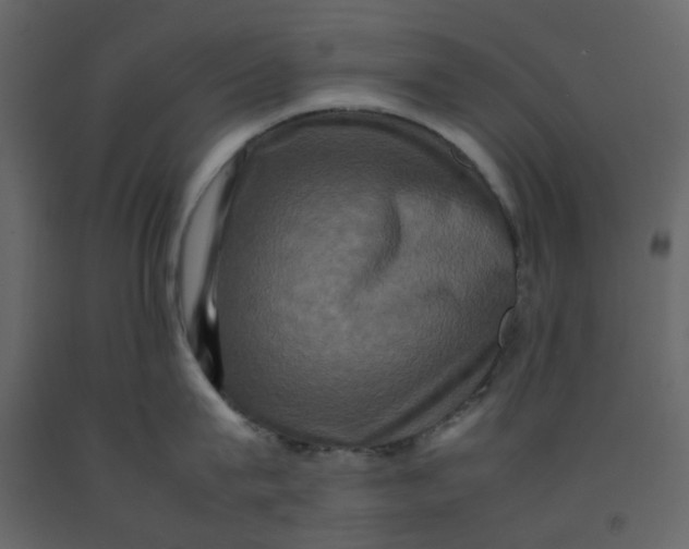 X0000092230815200710051217