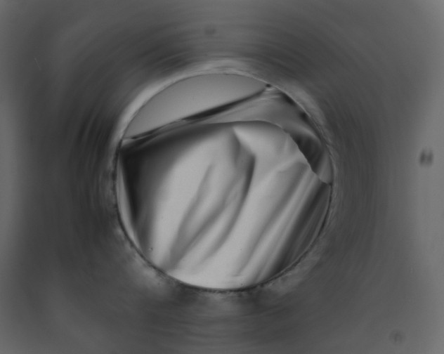 X0000092230816200710051217