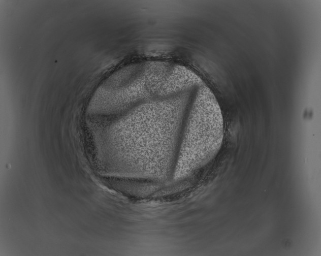 X0000092230817200710051217