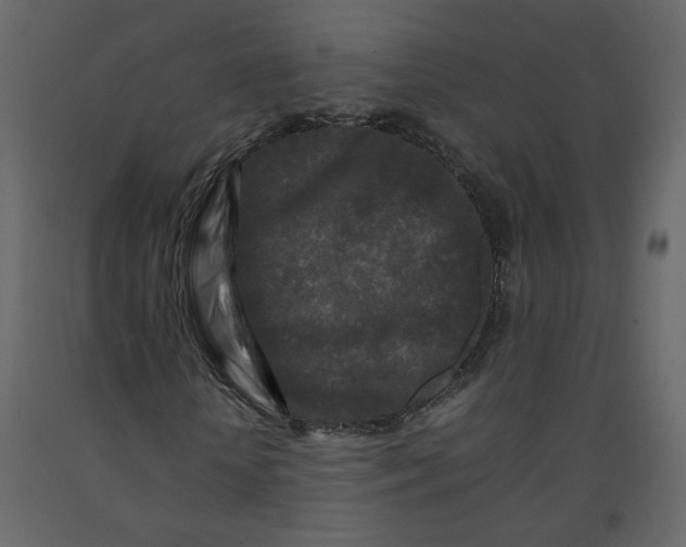 X0000092230818200710051217