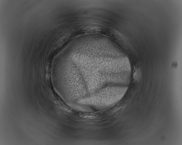 X0000092230819200710051217