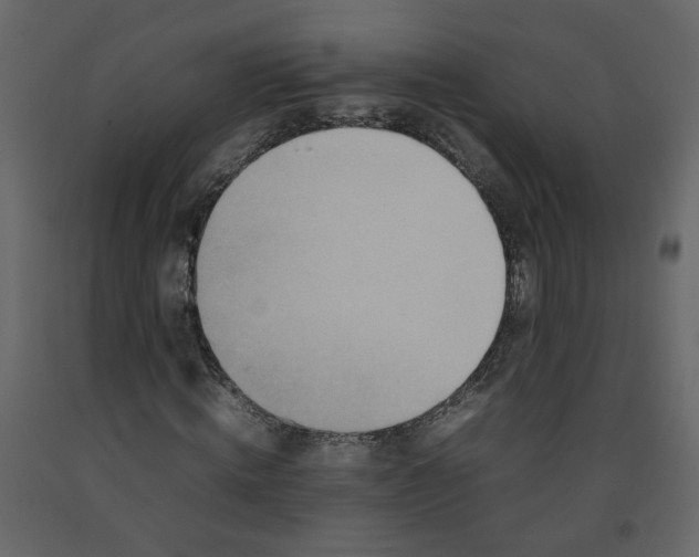 X0000092230820200710051217