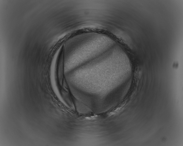 X0000092230822200710051217