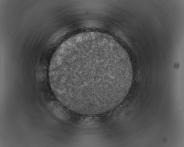 X0000092230824200710051217