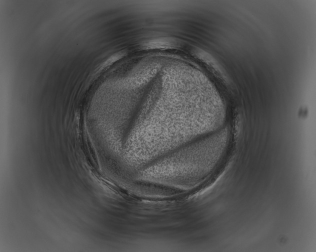 X0000092230825200710051217