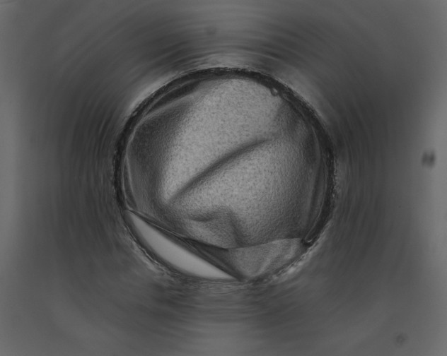 X0000092230826200710051217