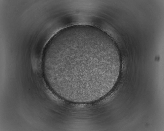 X0000092230828200710051217