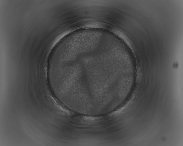 X0000092230829200710051217