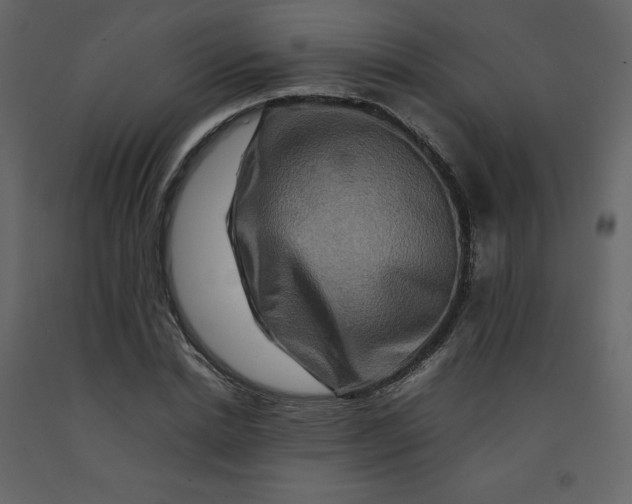 X0000092230830200710051217