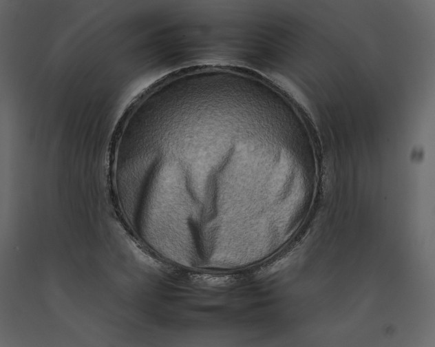 X0000092230831200710051217