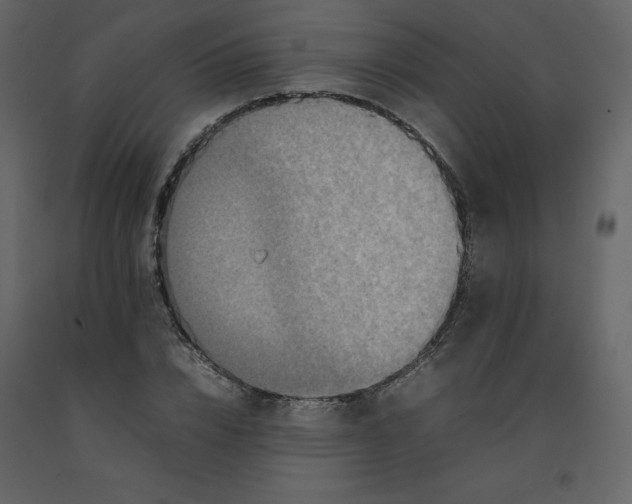 X0000092230832200710051217