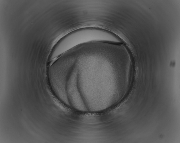 X0000092230834200710051217