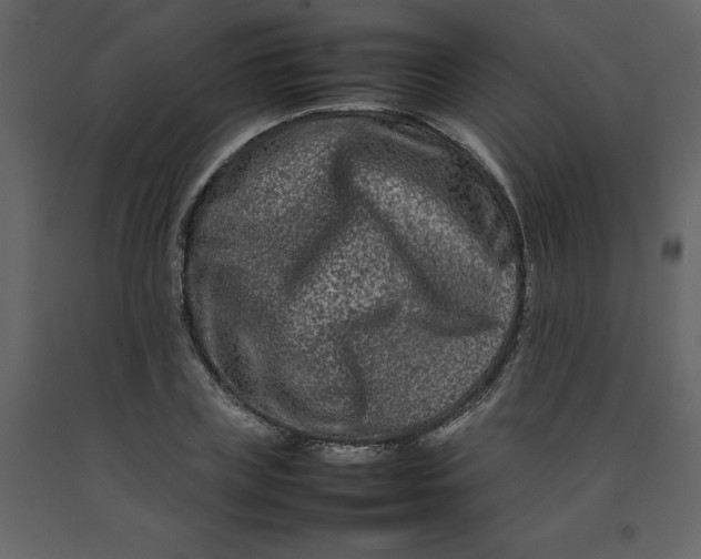 X0000092230835200710051217