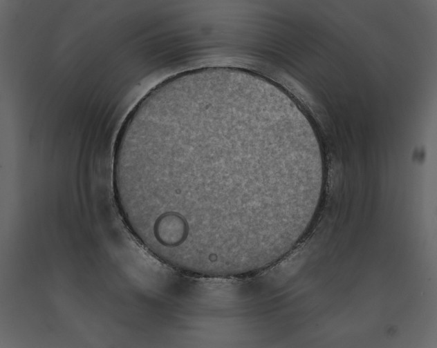 X0000092230836200710051217