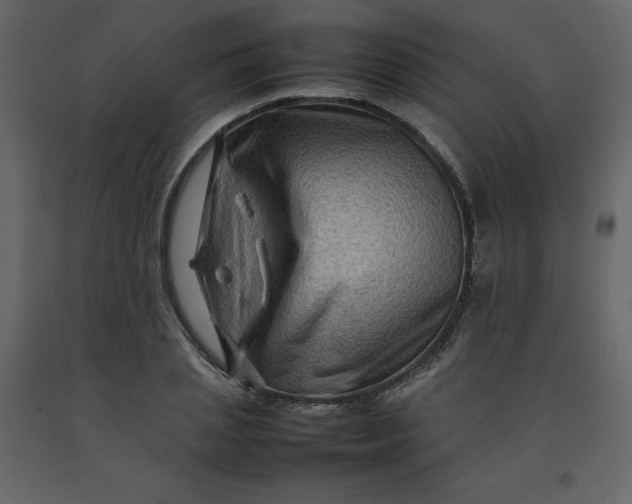 X0000092230837200710051217