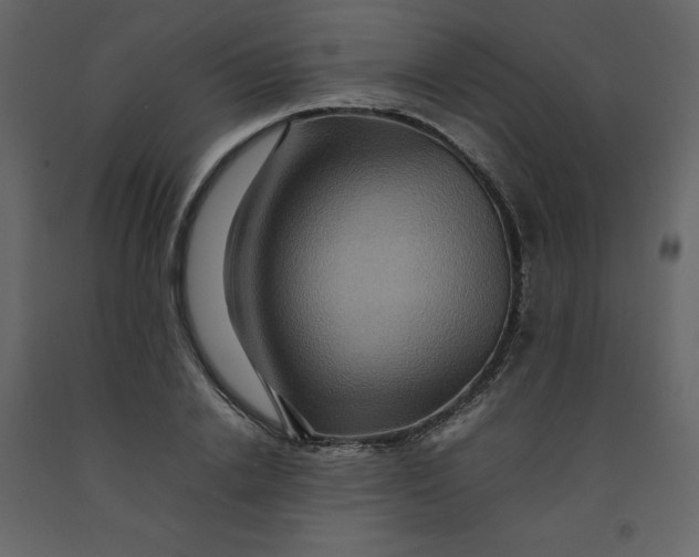 X0000092230838200710051217