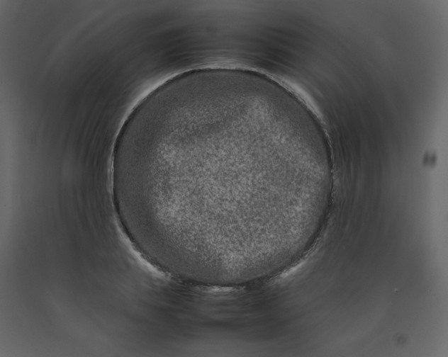 X0000092230839200710051217