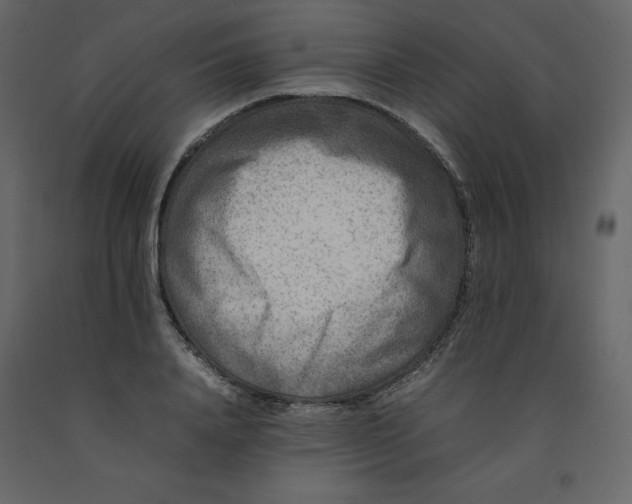 X0000092230840200710051217