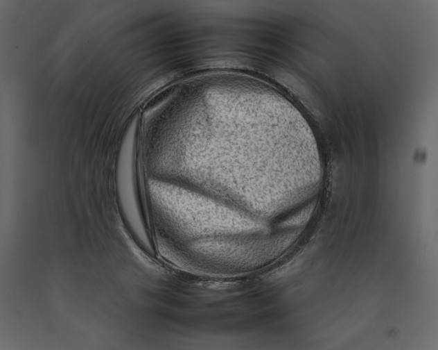 X0000092230841200710051217