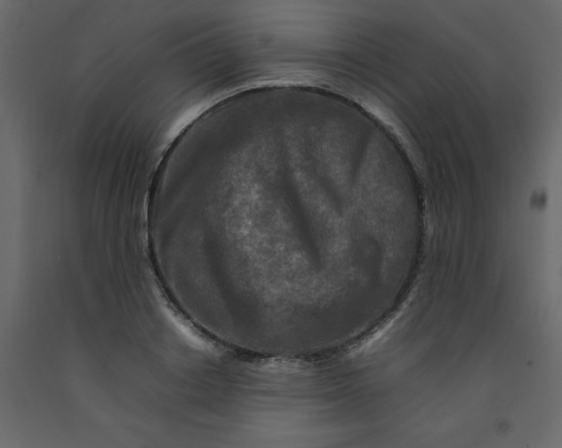 X0000092230842200710051217