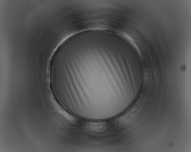 X0000092230843200710051217