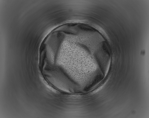 X0000092230844200710051217