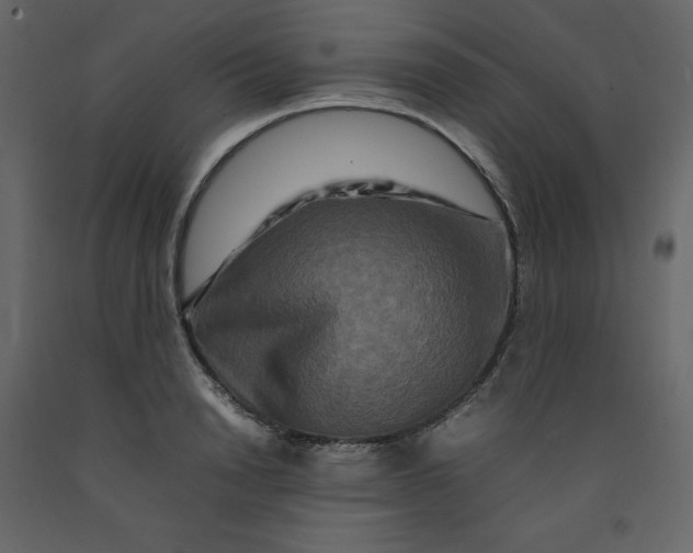 X0000092230846200710051217