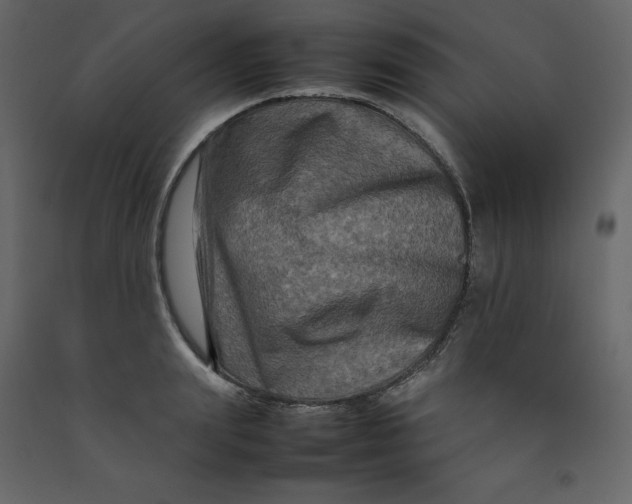 X0000092230847200710051217