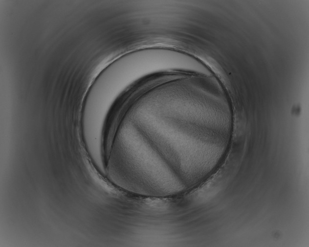 X0000092230850200710051217