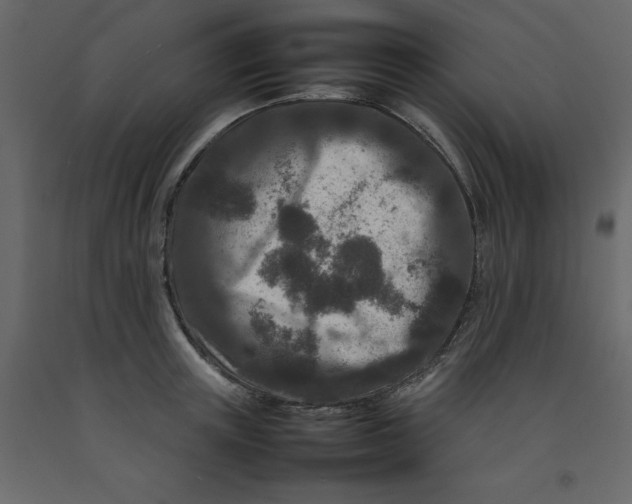 X0000092230851200710051217