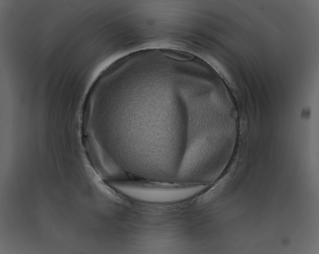 X0000092230854200710051217