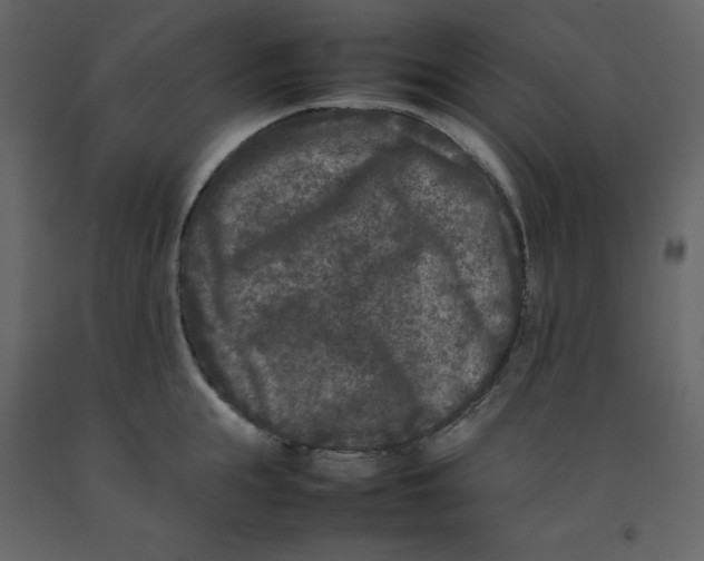 X0000092230855200710051217